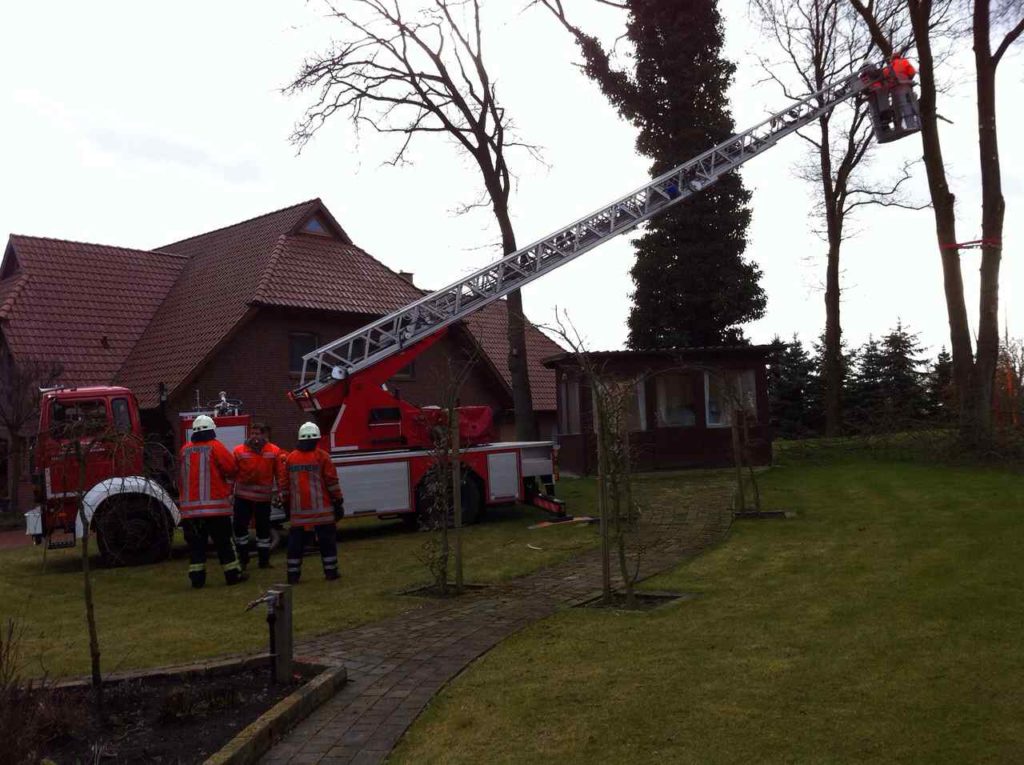 Sturmschaden gespaltener Baum 2